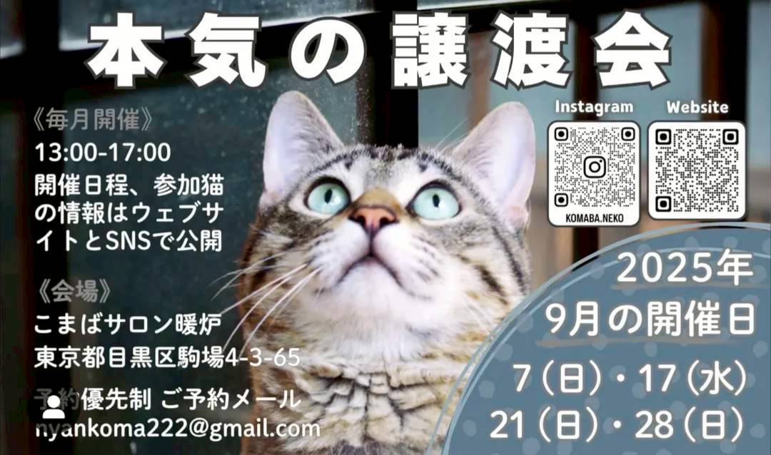 line album ♪サイト作業用♪ 250925 1