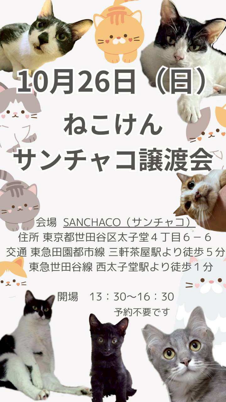 line album ♪サイト作業用♪ 250925 3